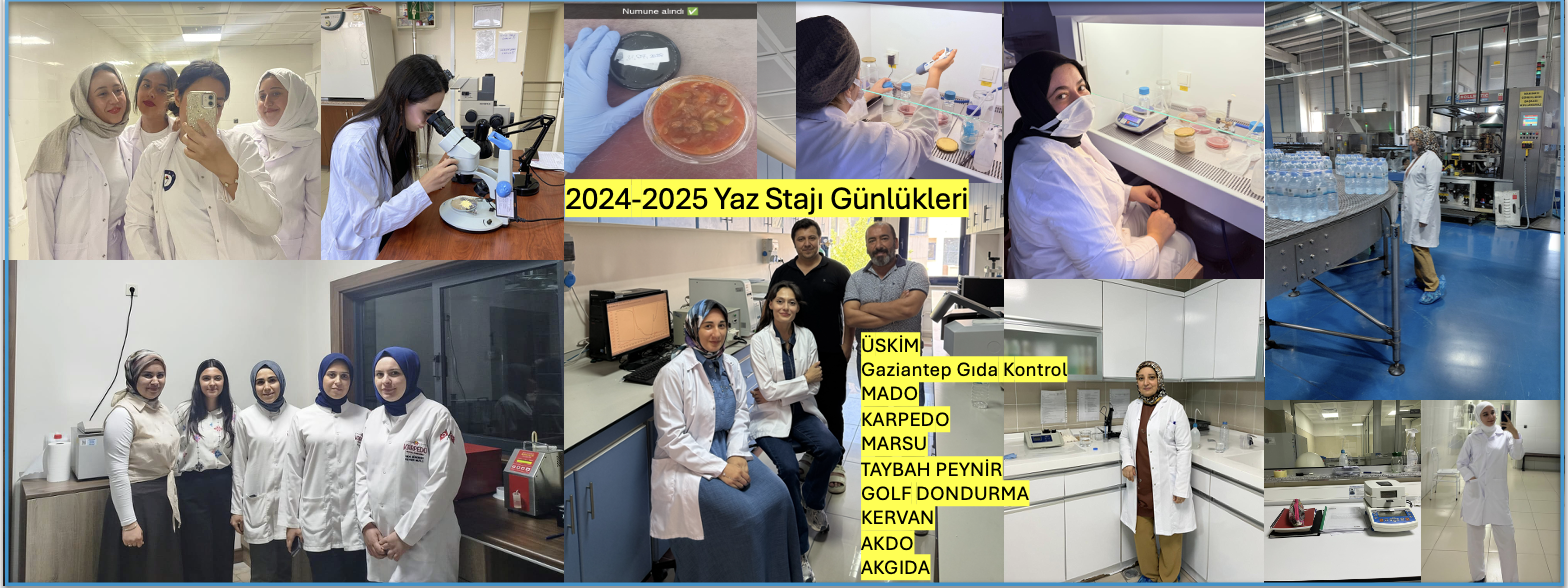 2024-2025 Yaz Stajı Günlükleri