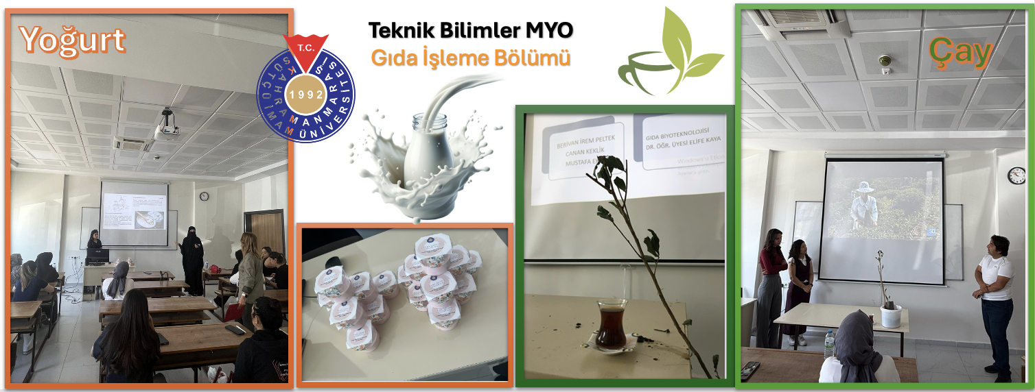 Biyoteknolojik Gıdaların Tanıtımı (Yoğurt ve Çay)